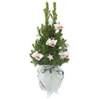 Kristall-Bäumchen 35-45 cm
