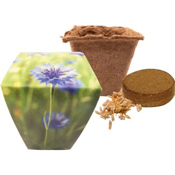 Naturtöpfchen Blue