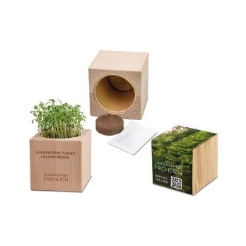 Pflanz-Holz Grande mit Samen, gelasert
