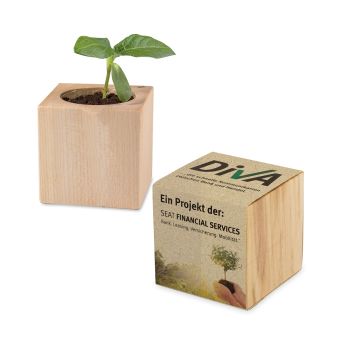 Pflanz-Holz mit Samen (Graspapier-Banderole)