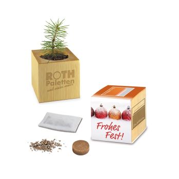 Pflanz-Holz - Standardmotiv - Frohe Weihnachten, 2 Seiten gelasert