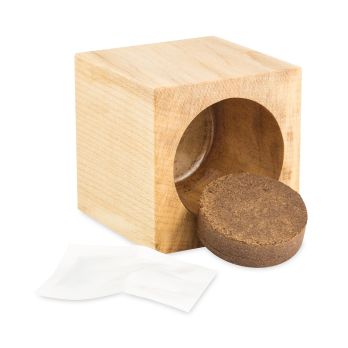 Pflanz-Holz Maxi Star-Box mit Samen