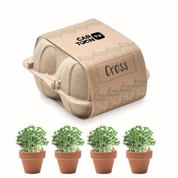 CRESS Saat-Set Kresse