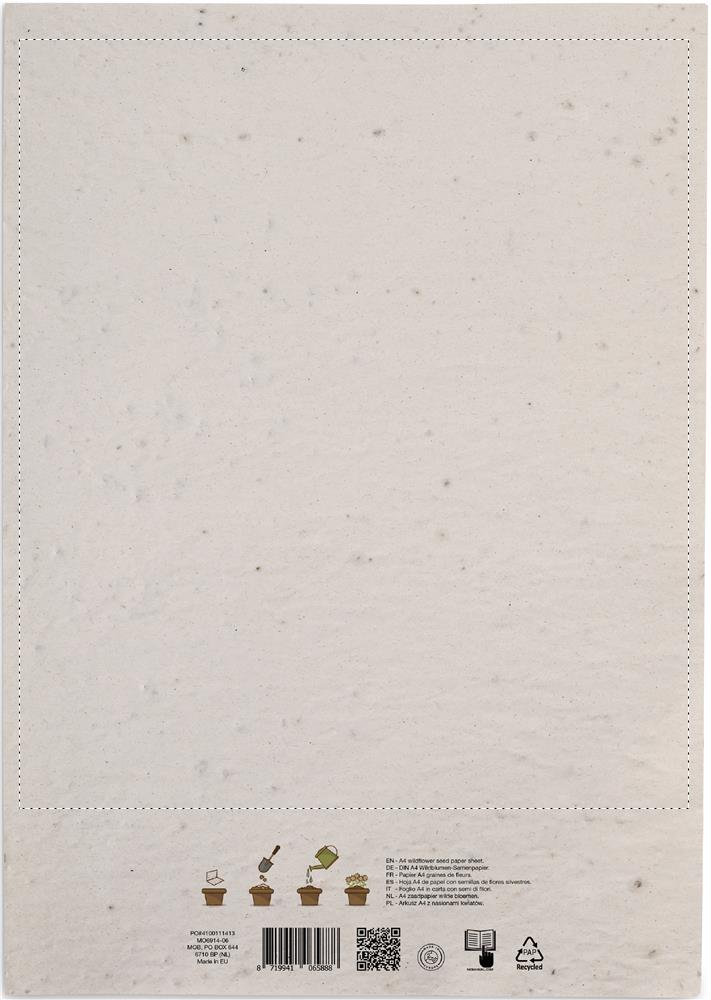 Seite 2 (23 x 20 cm)