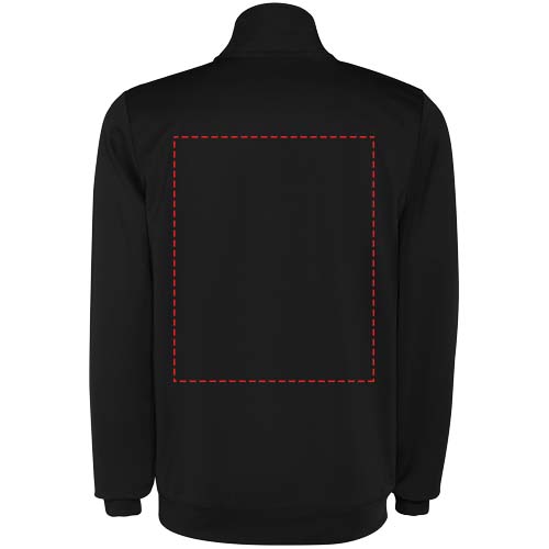 Rückseite (310 x 380 mm)