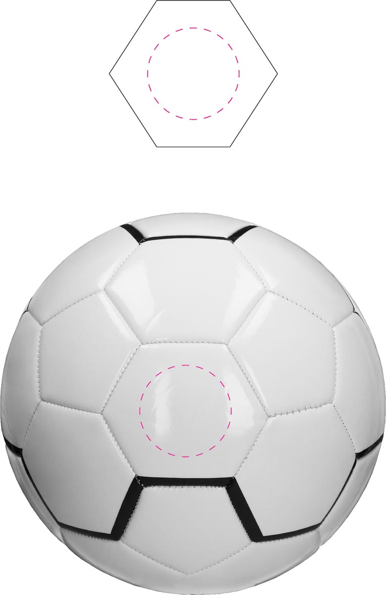 auf ein großes Segment (Ø 5 cm)