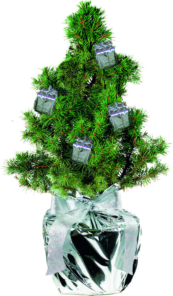 auf die Karte (6,0 x 4,0 cm)