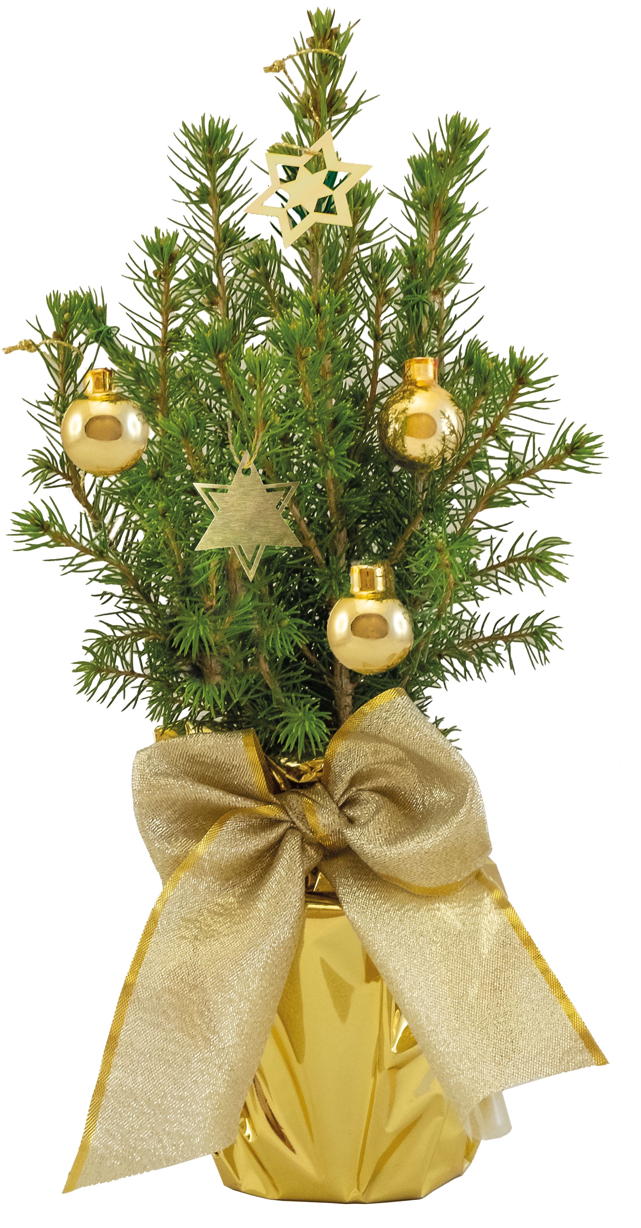 auf die Karte (6,0 x 4,0 cm)