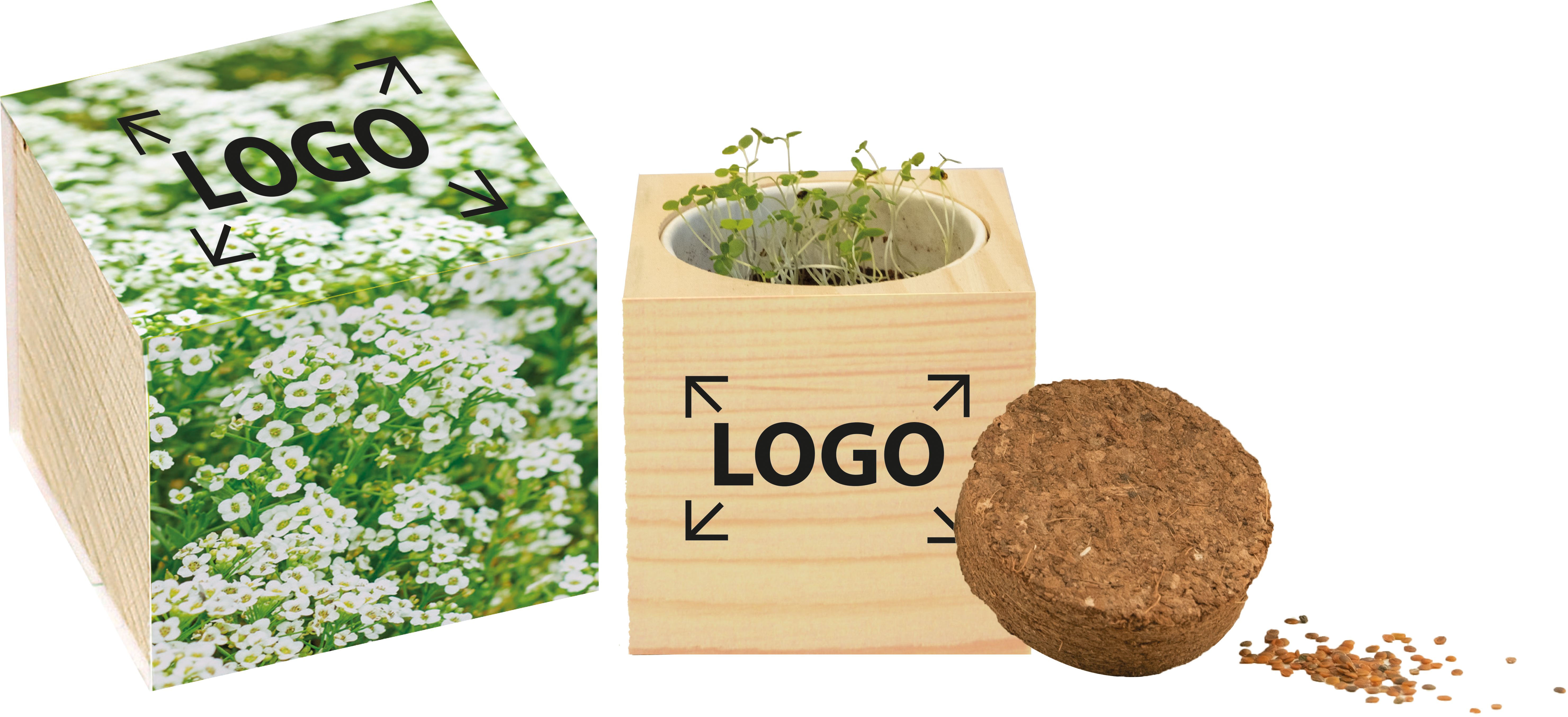 auf die Banderole (7,0 x 29,7 cm)