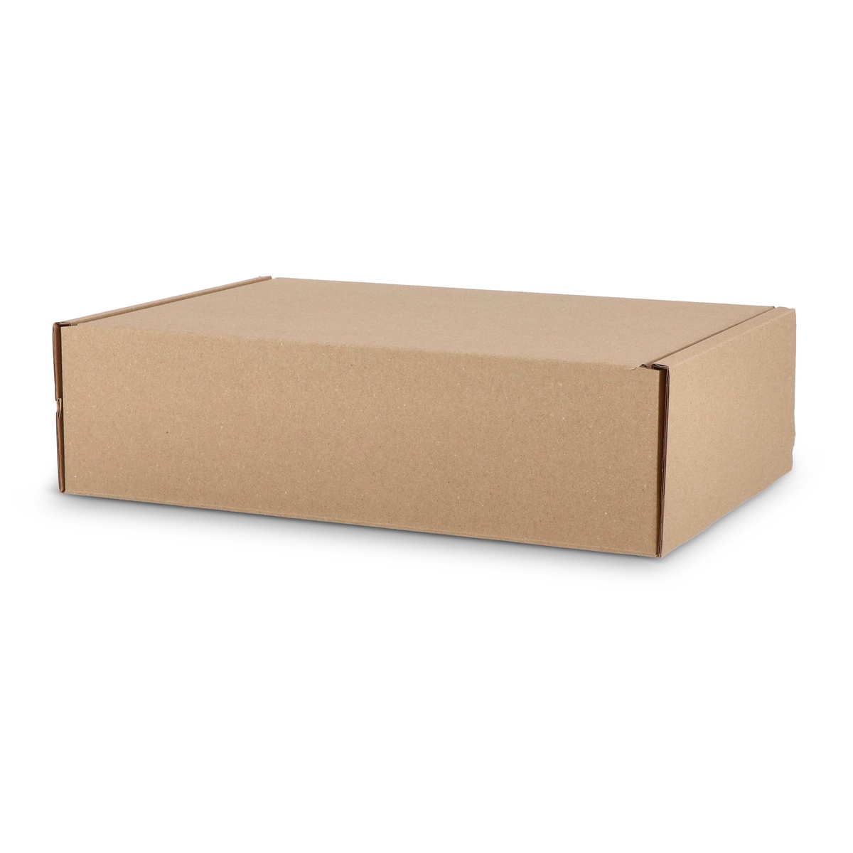 Seite 1 (235 x 295 mm)