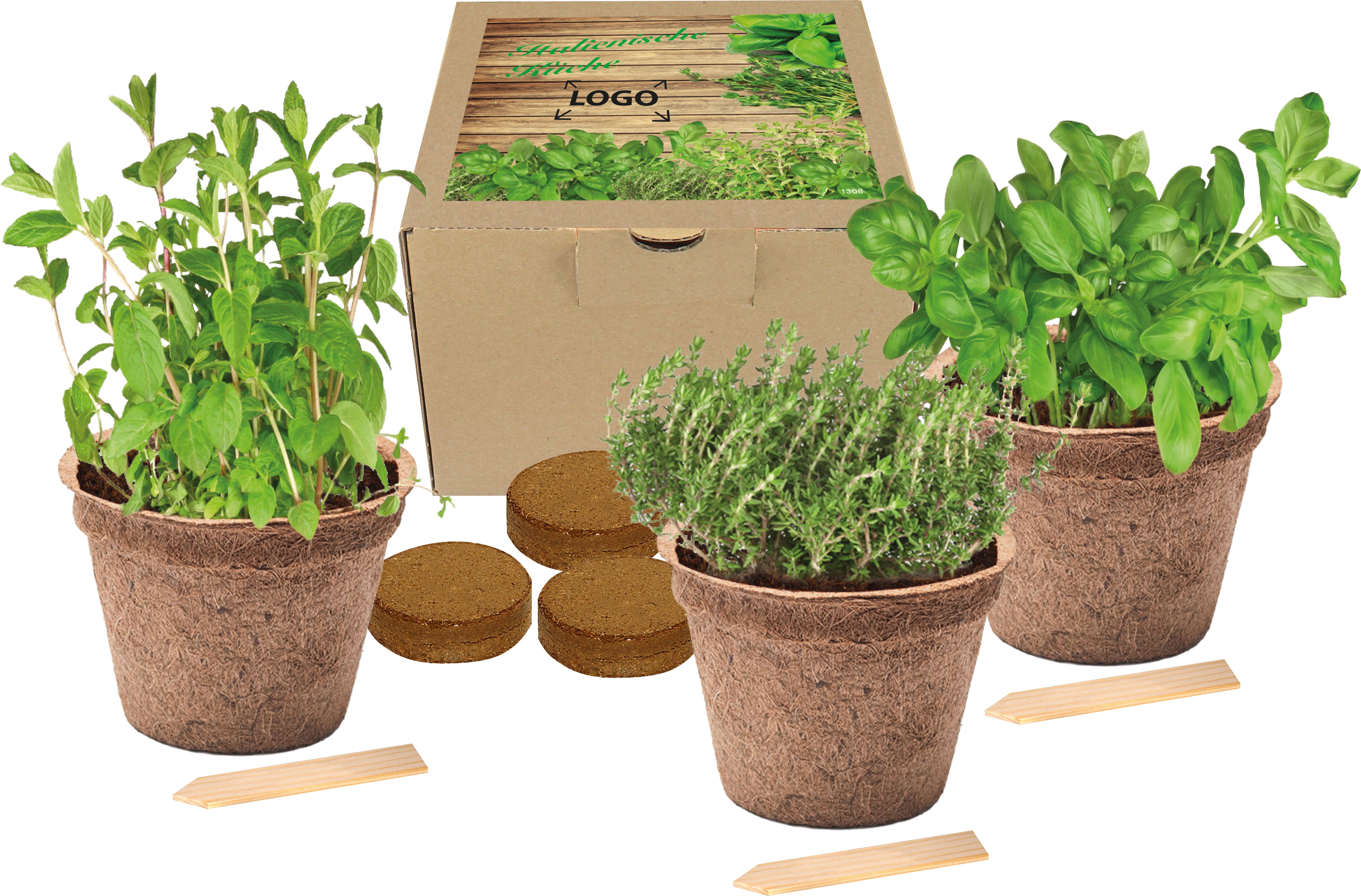 auf das Deckel-Etikett (12,0 x 12,0 cm)