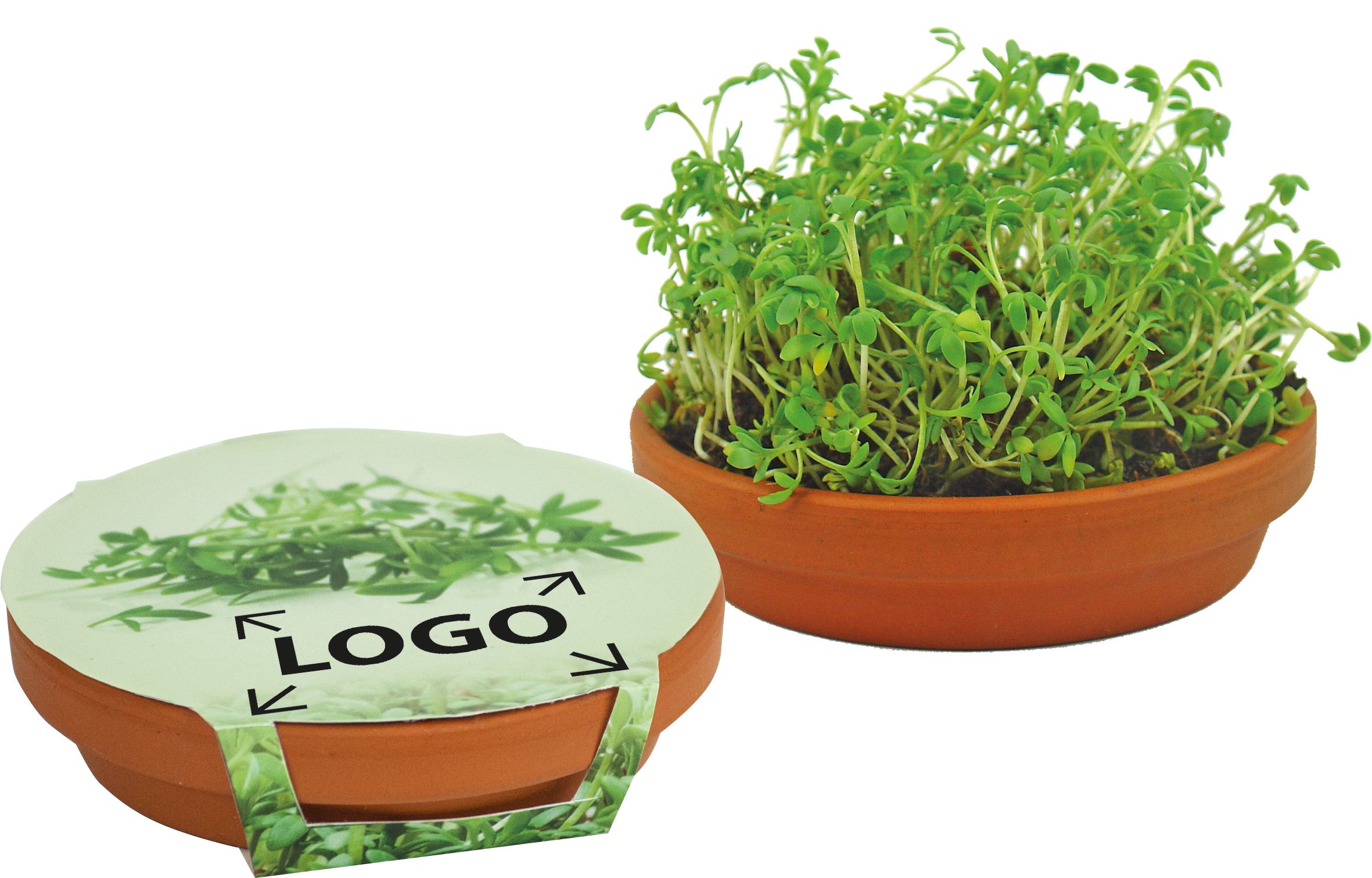 auf die Banderole (9,1 x 23,5 cm)