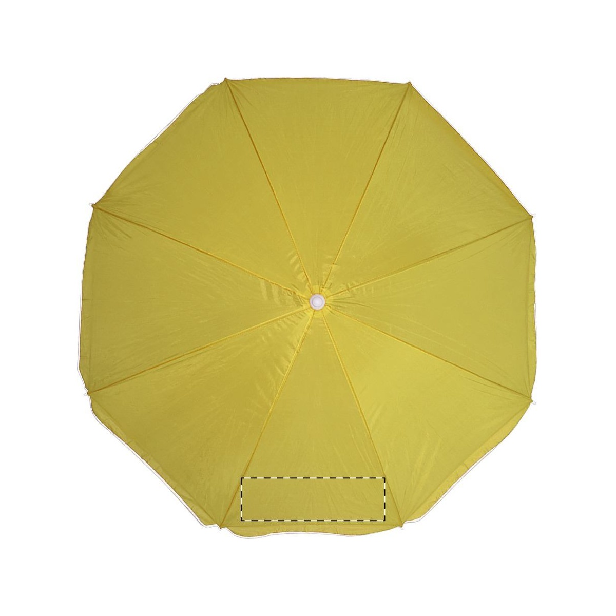 Segment 2 (260 x 130 mm)