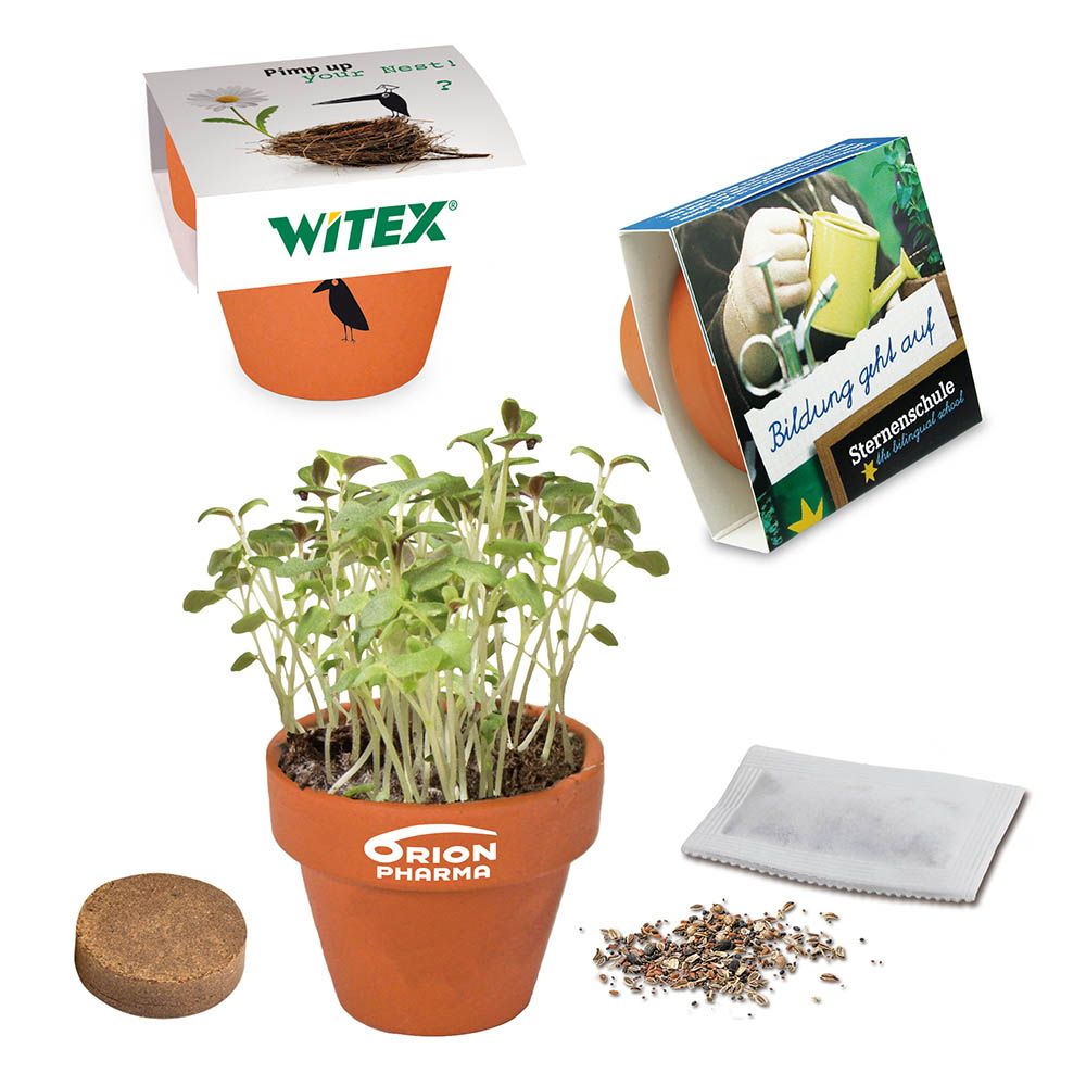 auf Banderole + auf Produkt (15,6 x 5,0 cm,1,5 x 2,0 cm,0,8 x 2,5 cm)