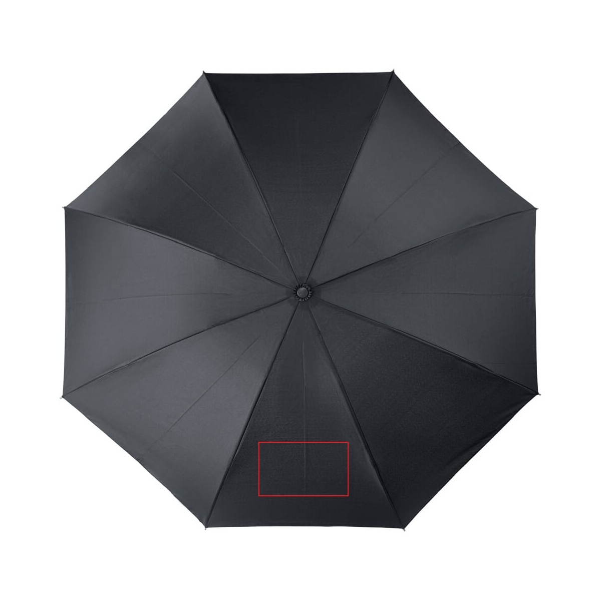 Panel 1 (120 x 200 mm)