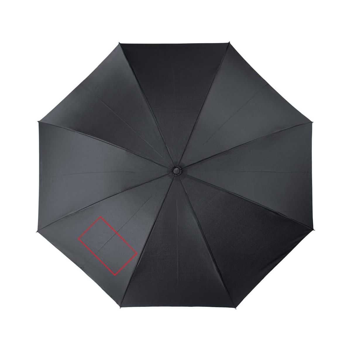 Panel 2 (120 x 200 mm)