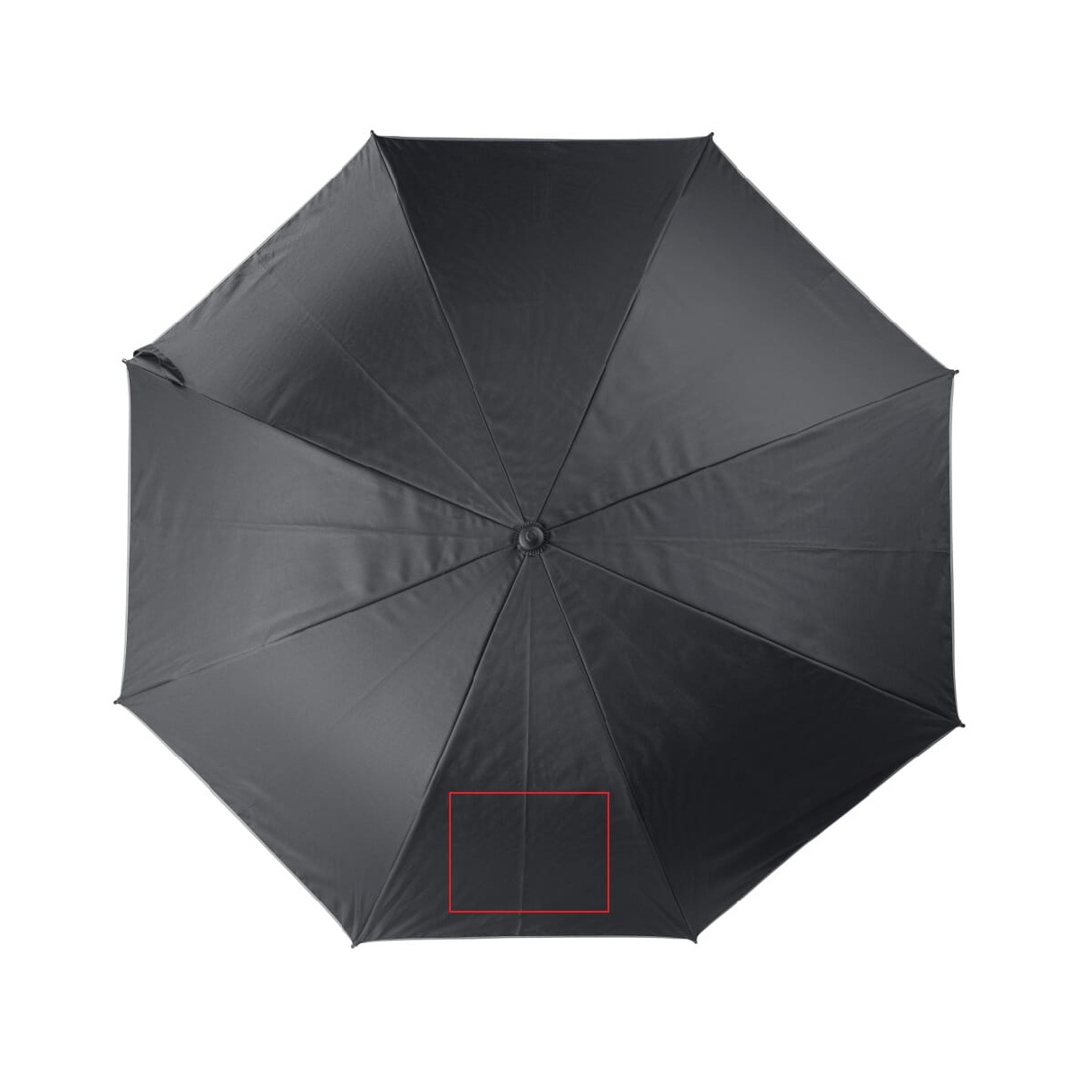 Panel 1 (150 x 200 mm)