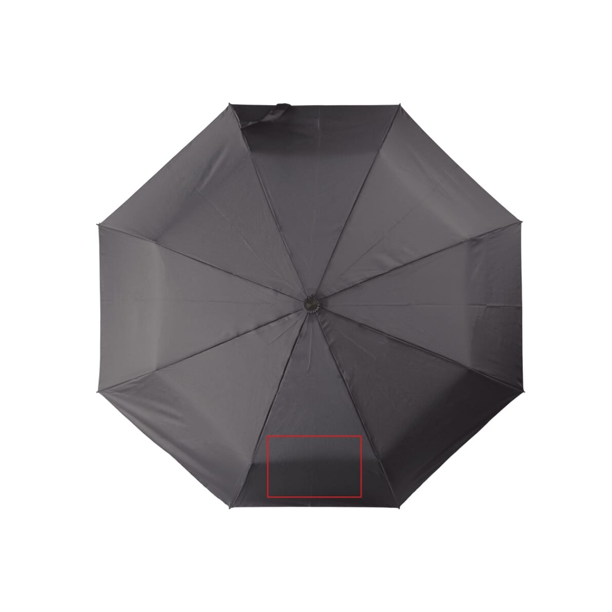 Panel 1 (130 x 200 mm)