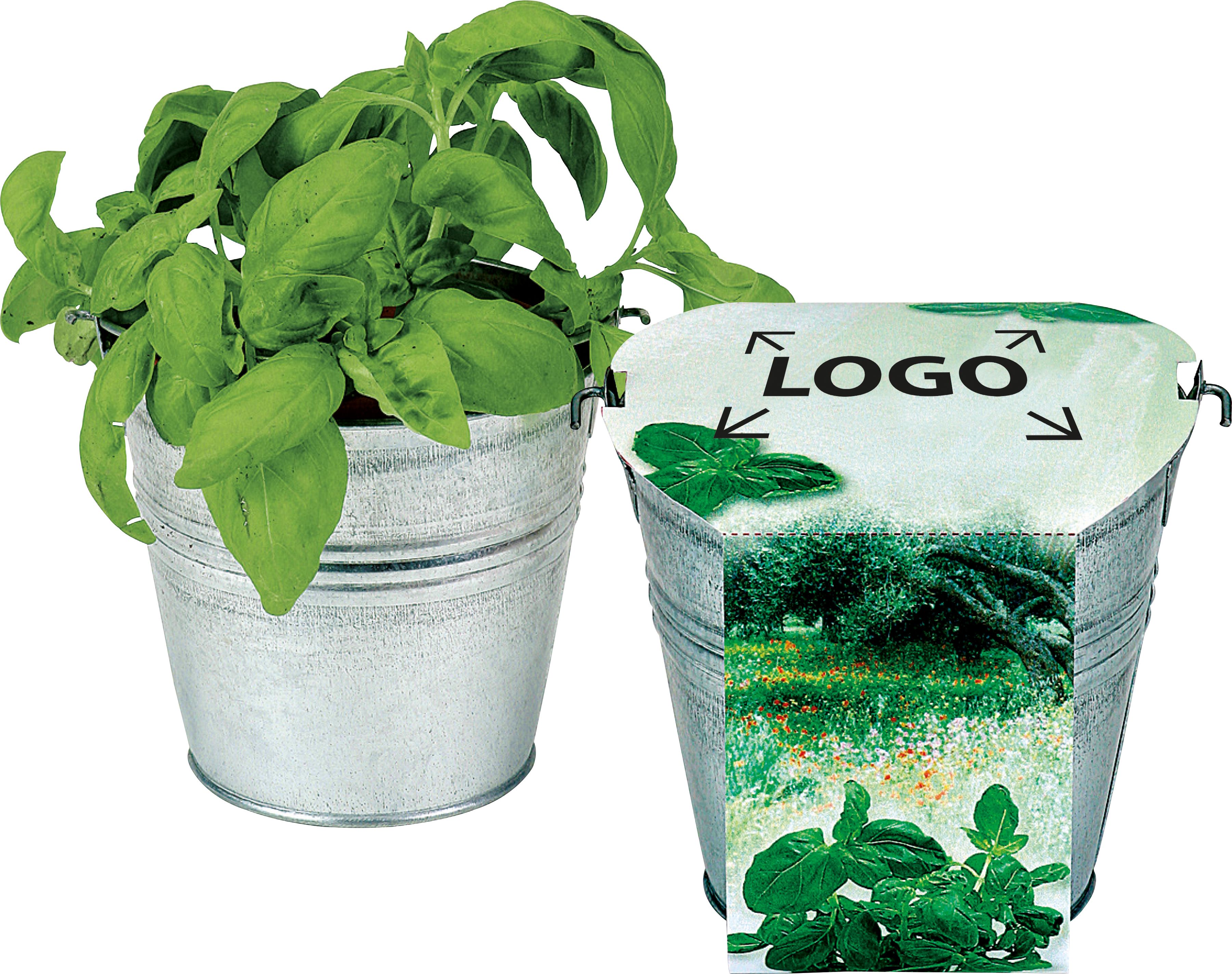 auf die Banderole (11,3 x 46,8 cm)