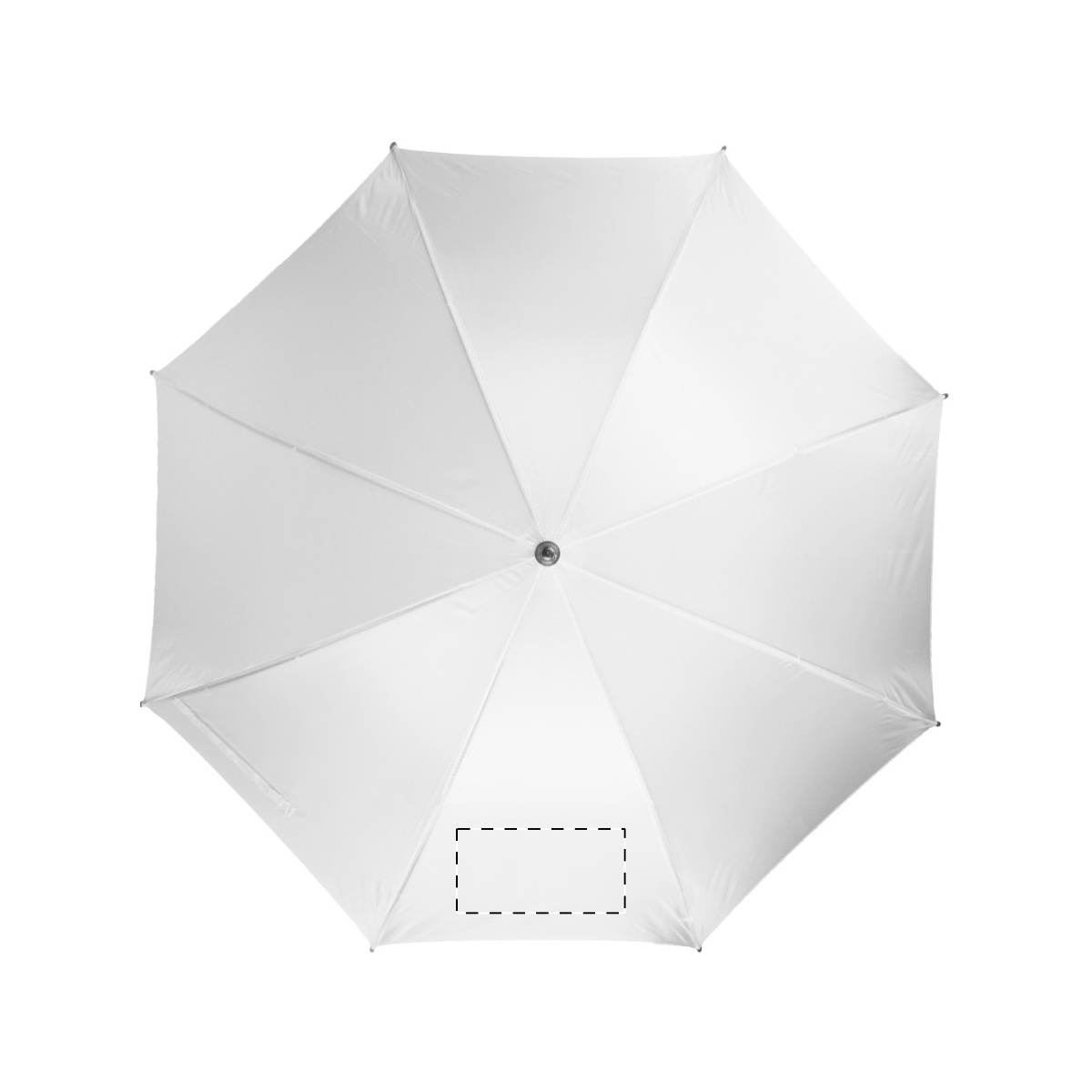 Segment 2 (180 x 100 mm)