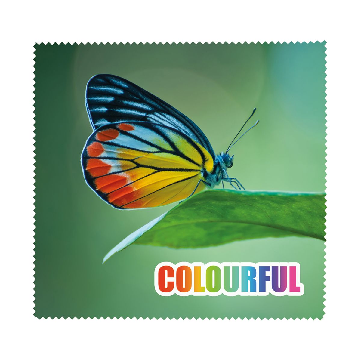 Vorderseite (17 x 18 cm)