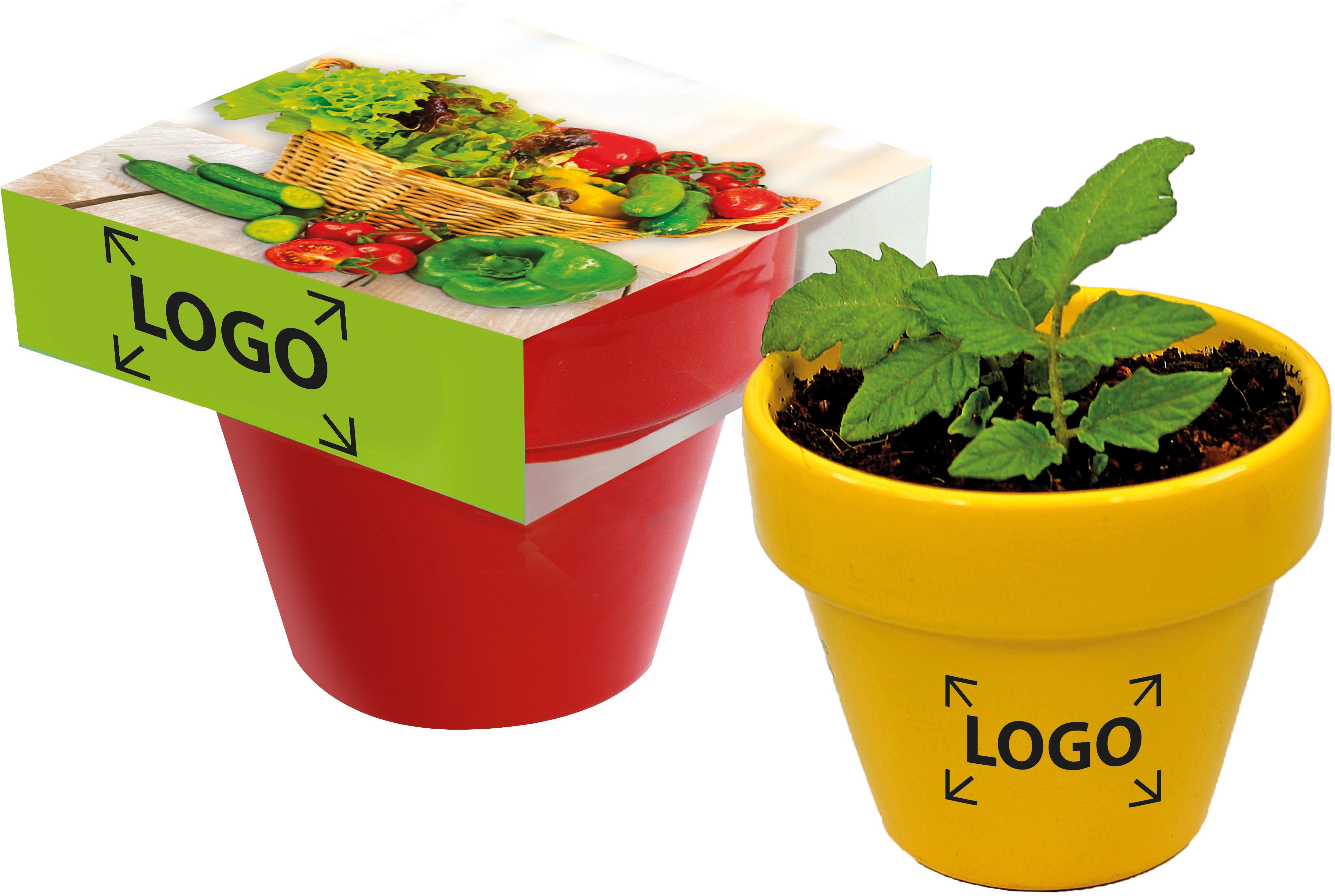 auf die Banderole (18,0 x 7,2  cm)