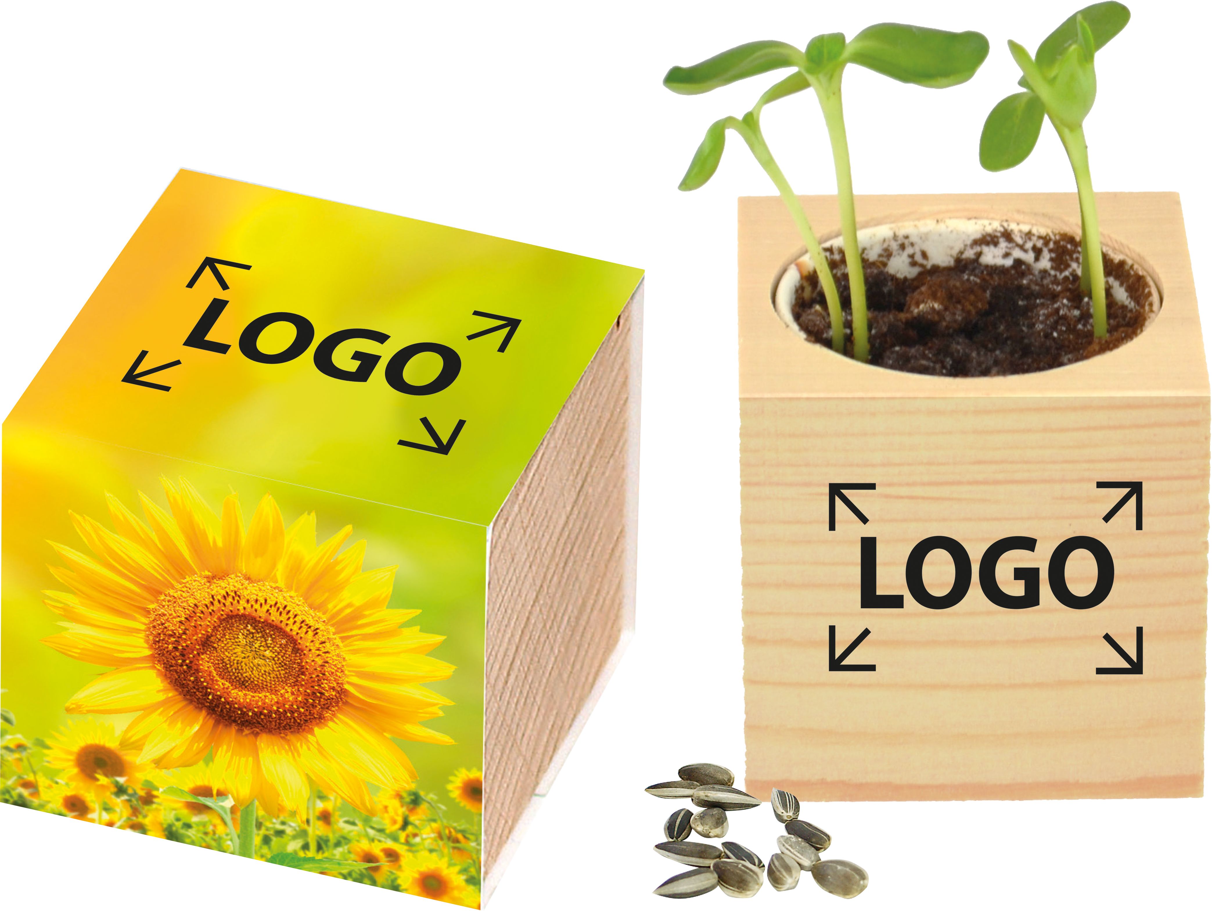 auf die Banderole (7,0 x 29,7 cm)