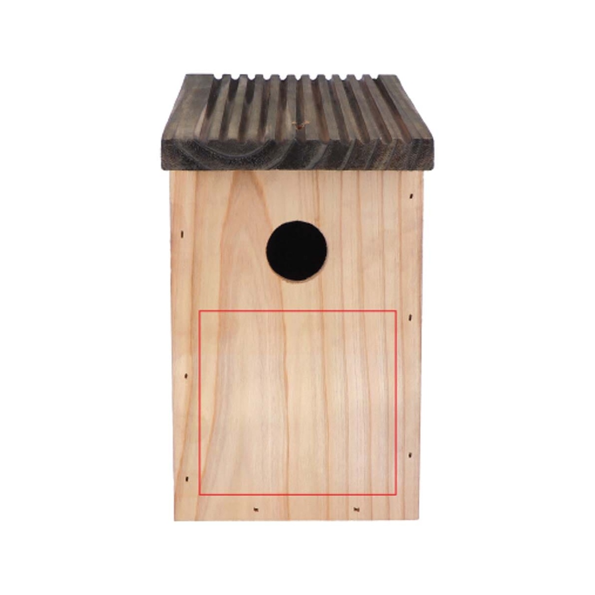 Vorderseite (98 x 92 mm)