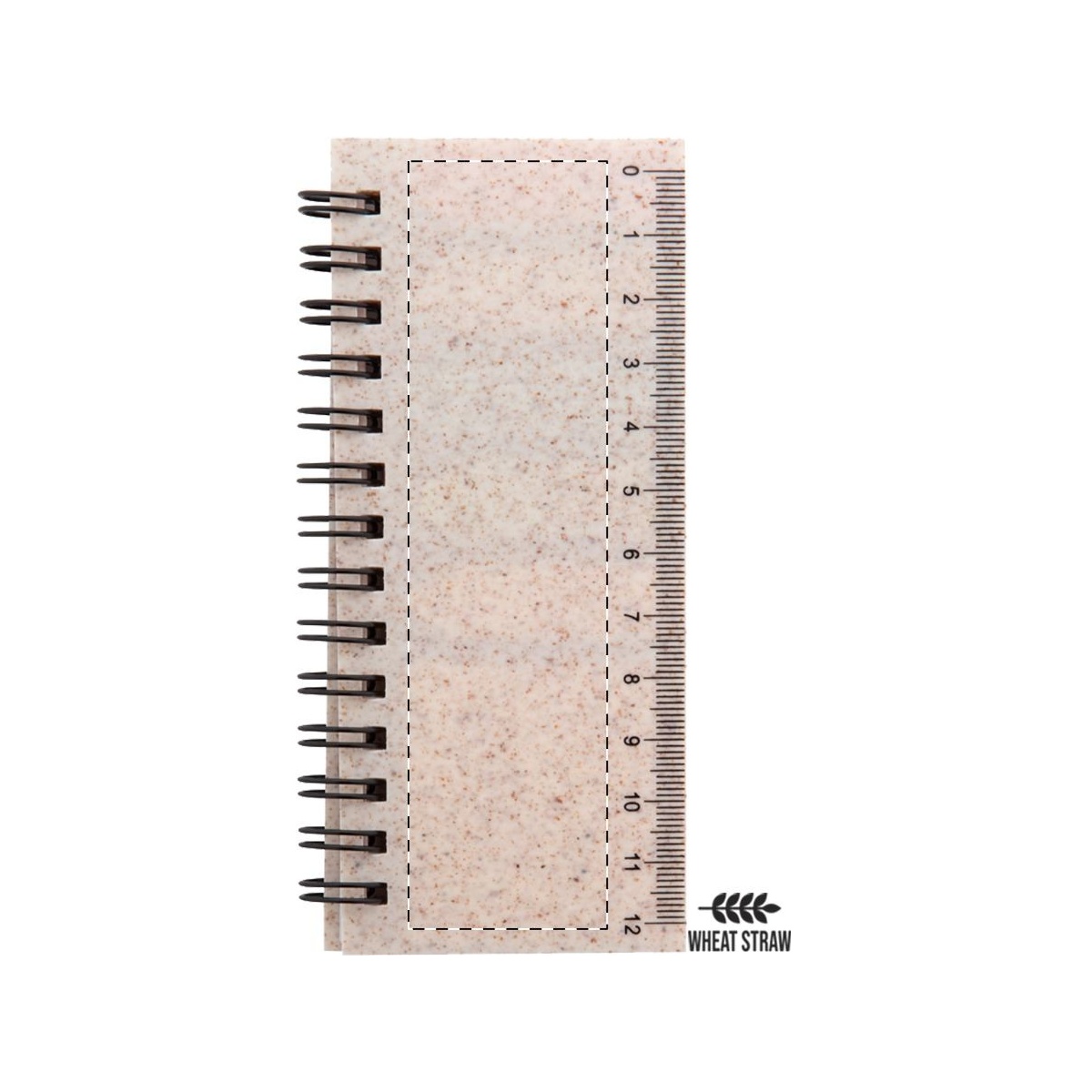 Vorderseite (25 x 40 mm)