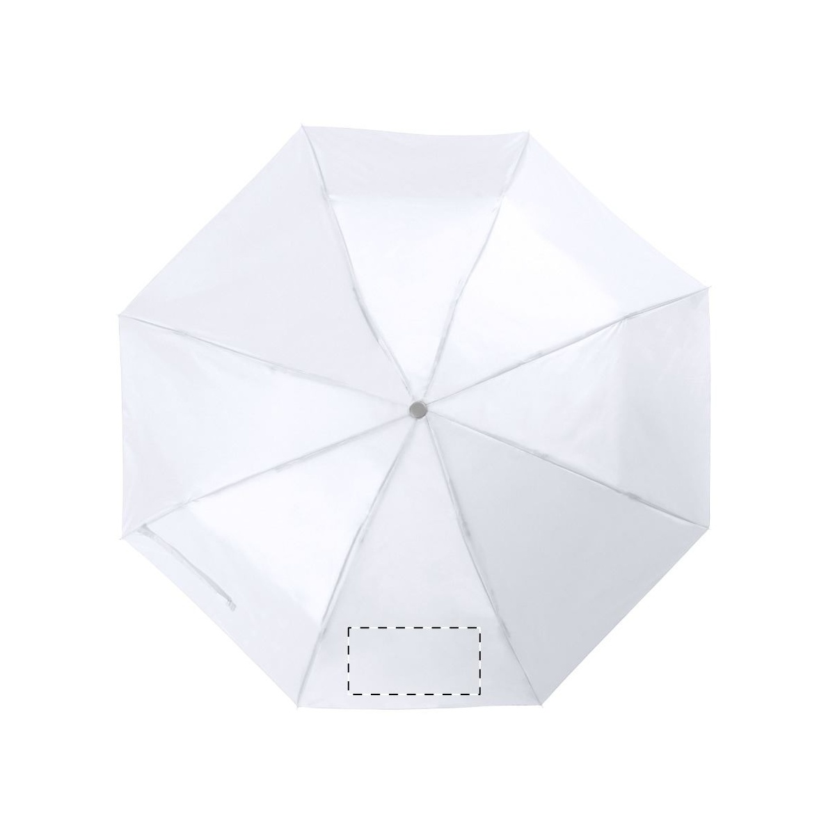 Segment 2 (180 x 100 mm)