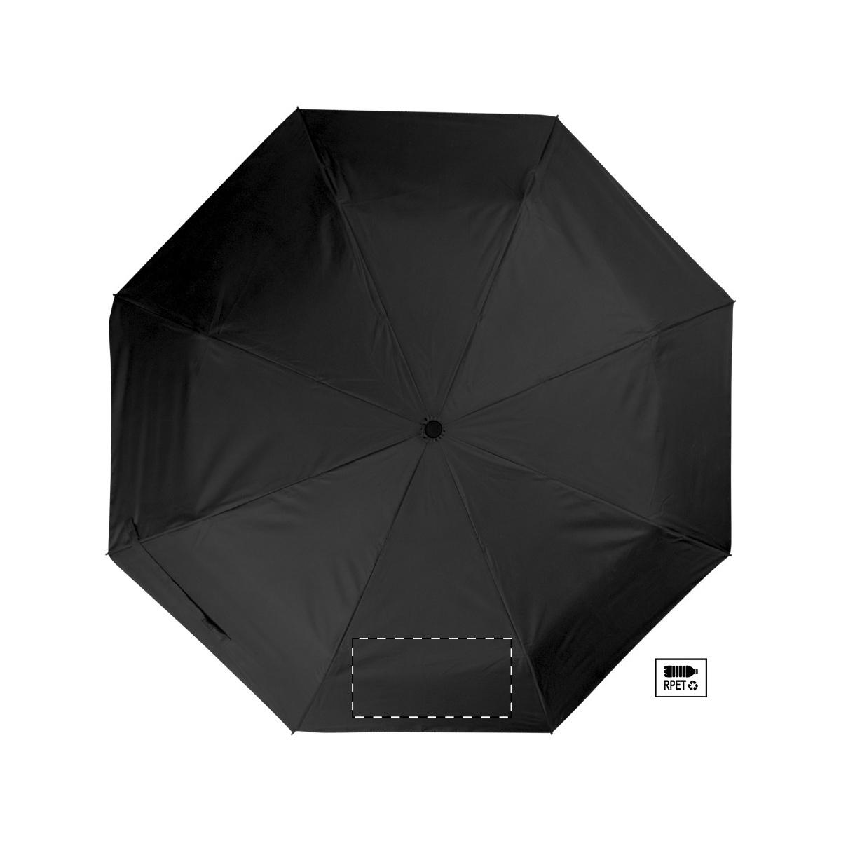 Segment 2 (210 x 110 mm)