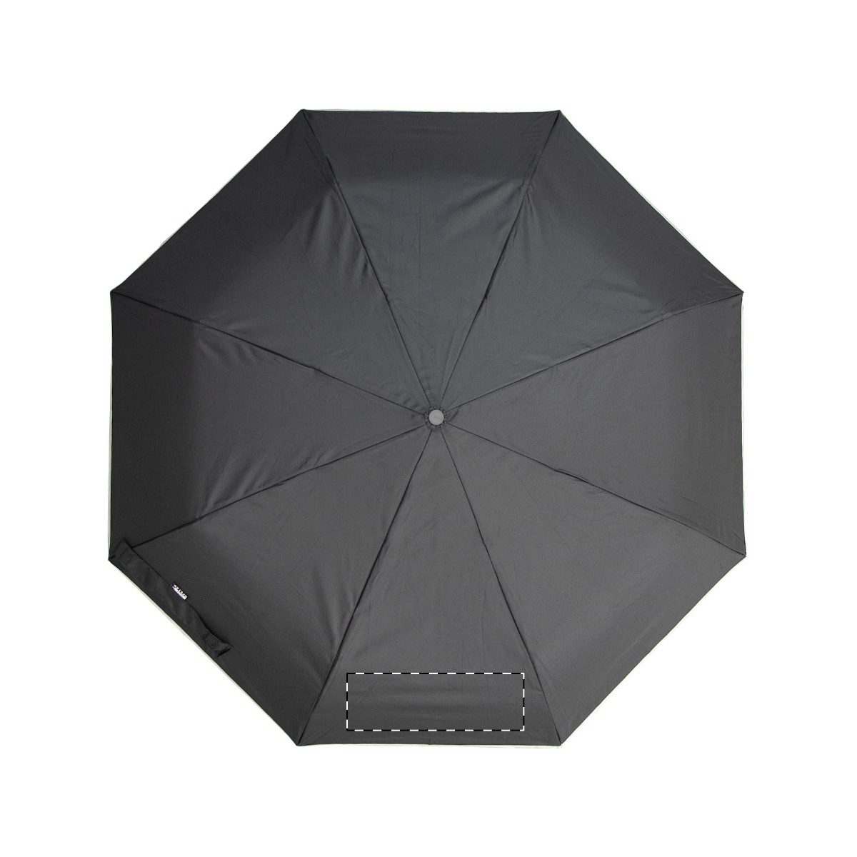 Segment 2 (200 x 100 mm)