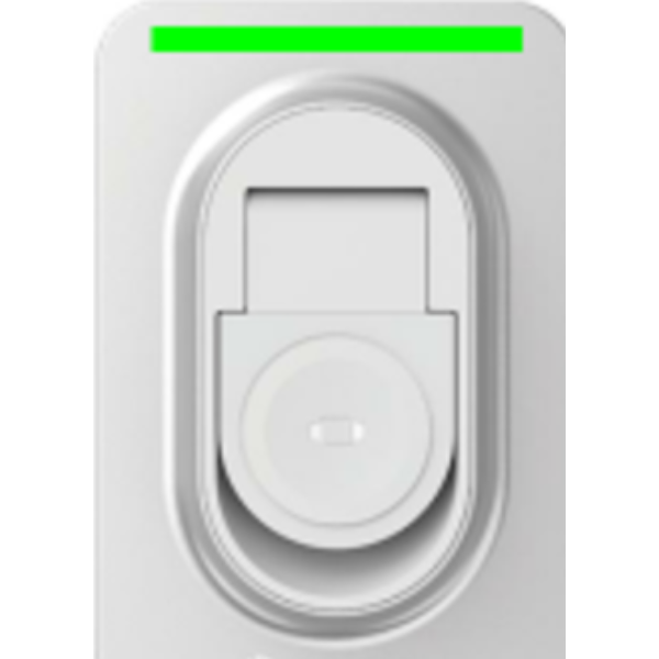 Artikel Rückseite oben (55 x 5 mm)