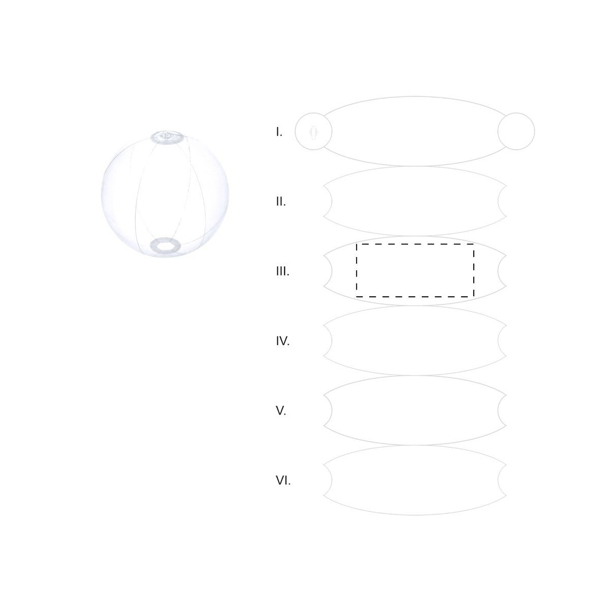 Segment 3 (12 x 5 cm)