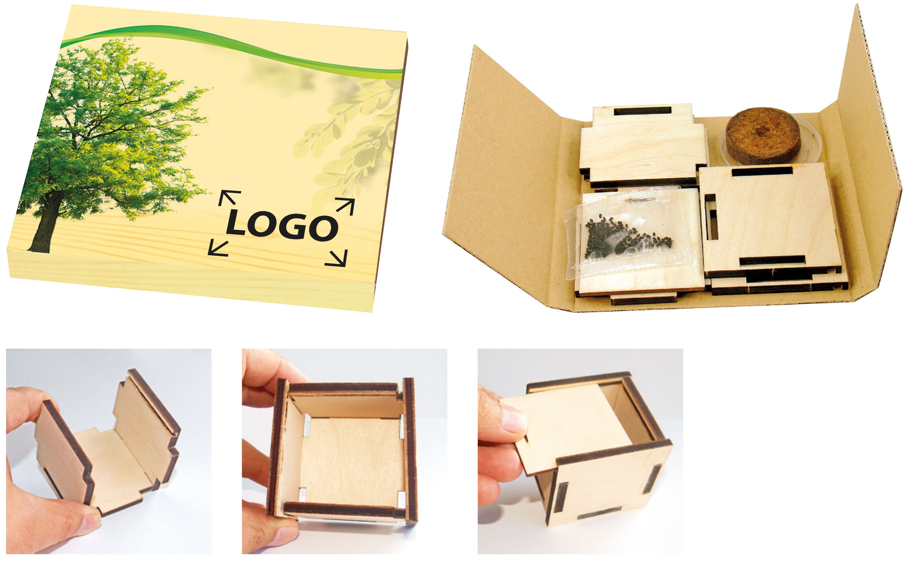 auf den Schuber (29,0 x 12,0 cm)