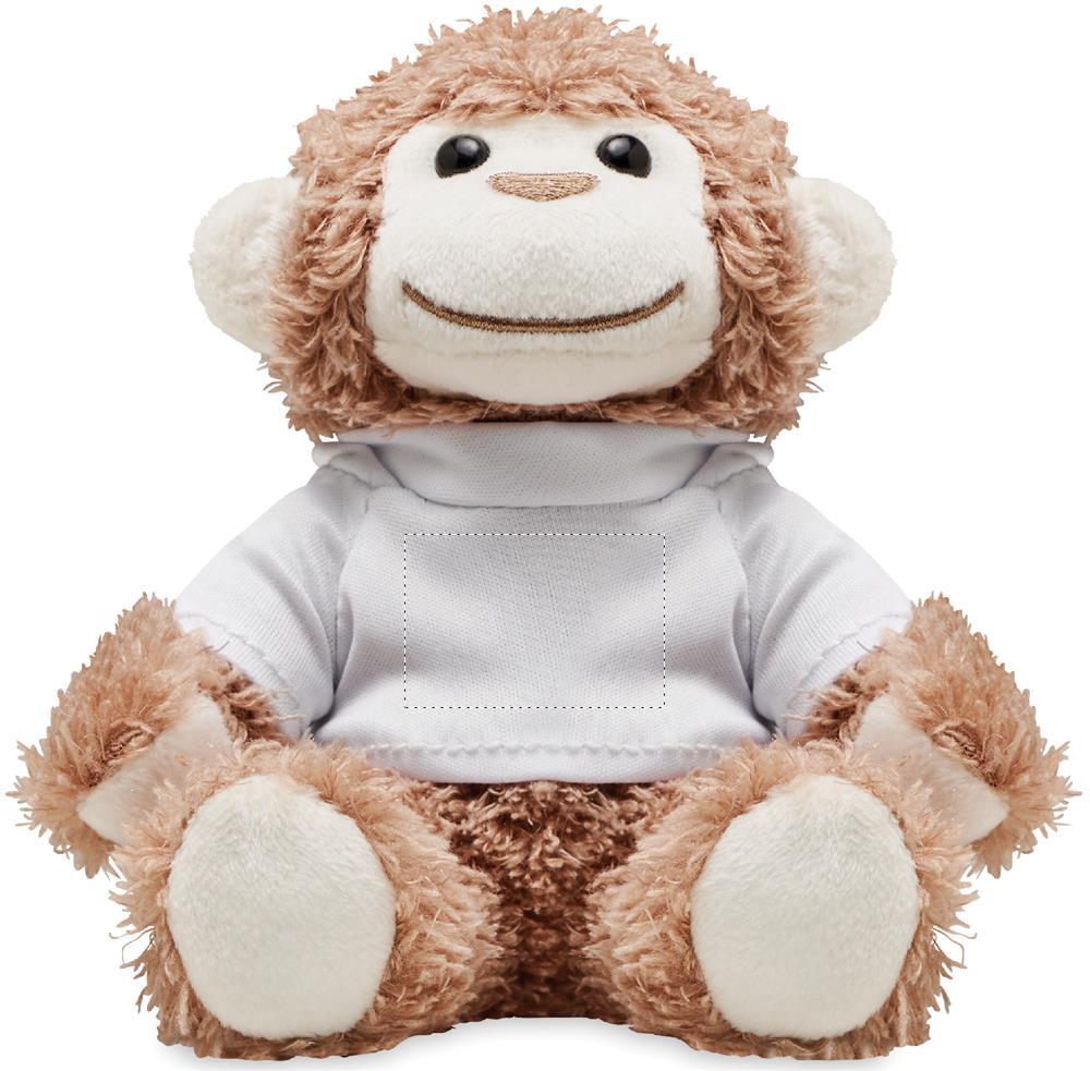 Vorderseite (2 x 3 cm)