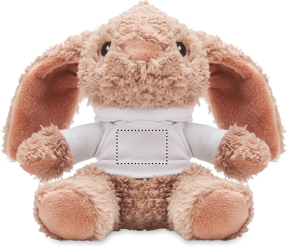 Vorderseite (2 x 3 cm)