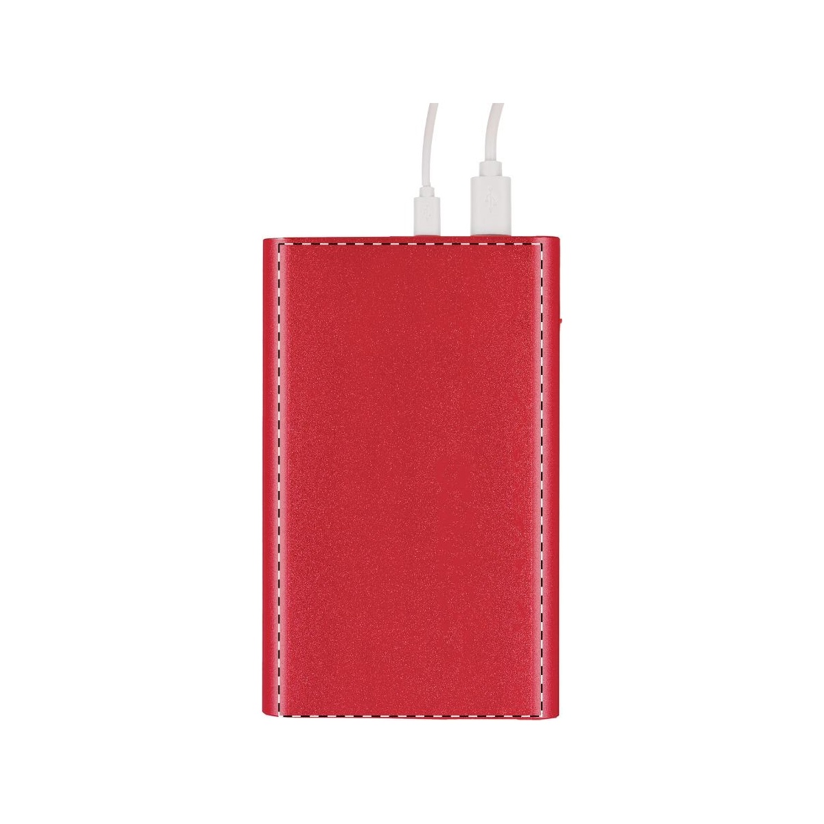 Rückseite (3 x 6 cm)