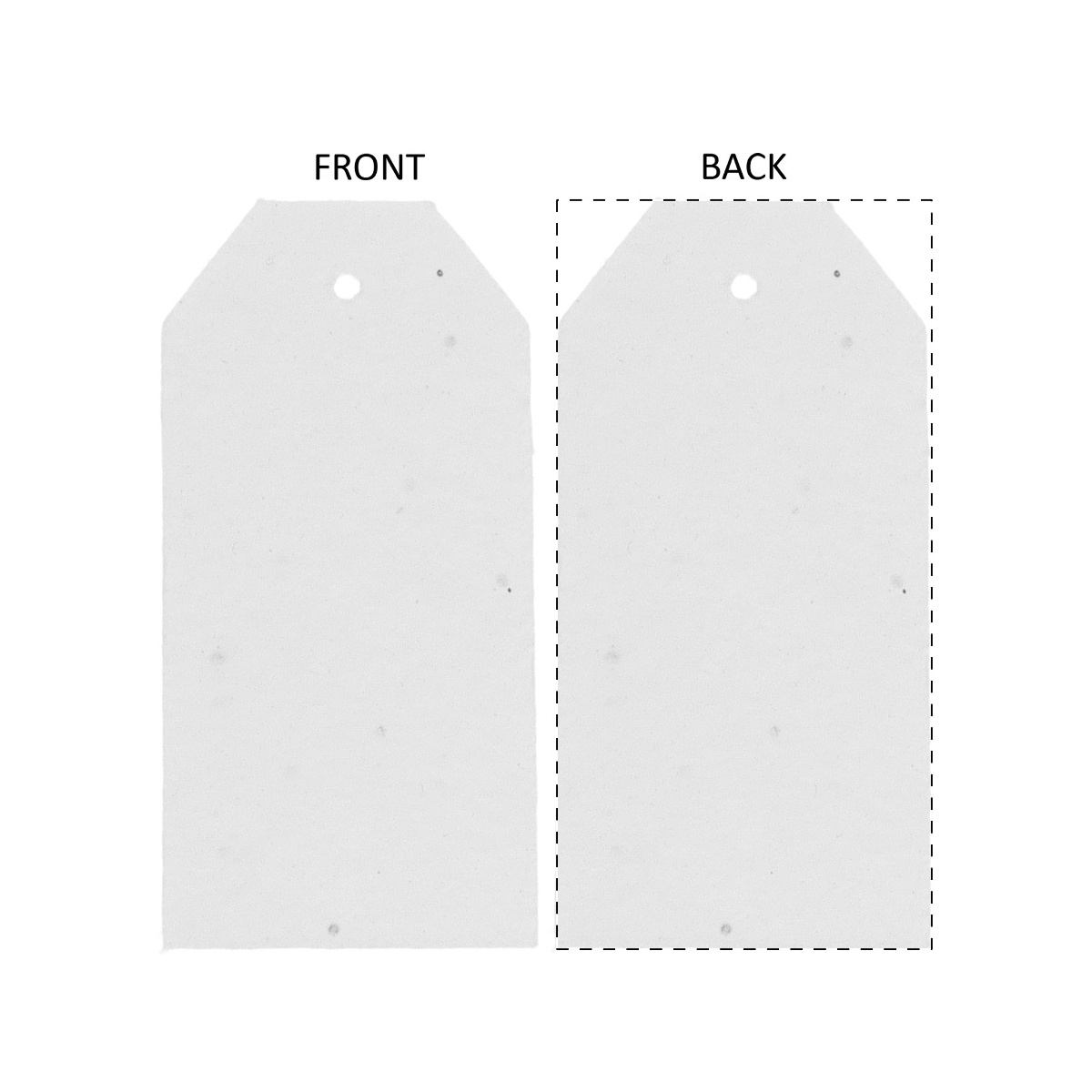 Rückseite (50 x 100 mm)
