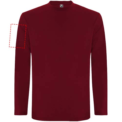 rechter Bizeps (10 x 15 cm)