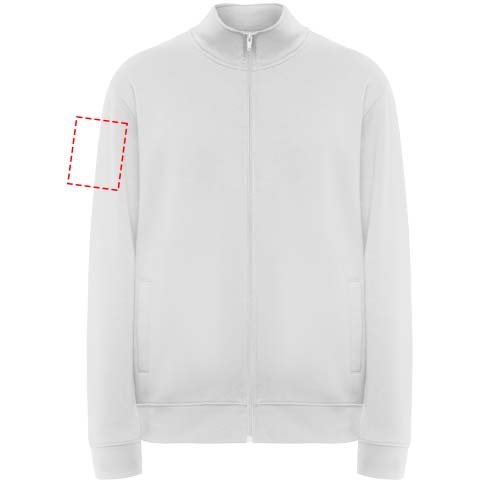 rechter Bizeps (9 x 12 cm)