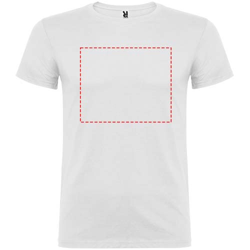 Großflächig auf die Vorderseite (28 x 23 cm)