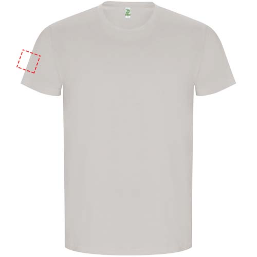 rechter Bizeps (5,7 x 5,7 x 8 cm)