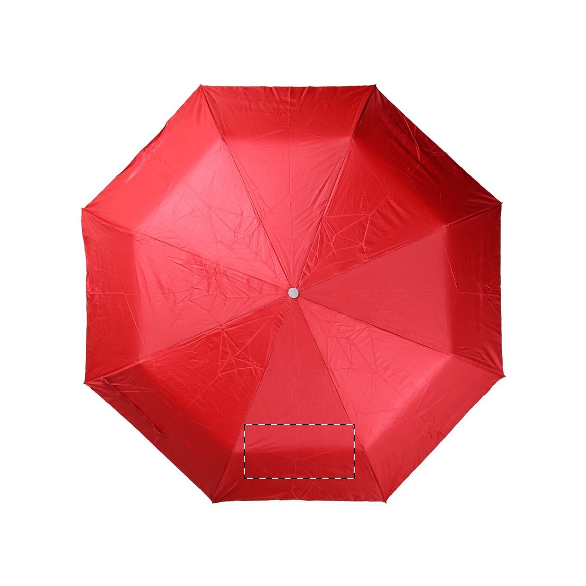 Segment 2 (200 x 100 mm)