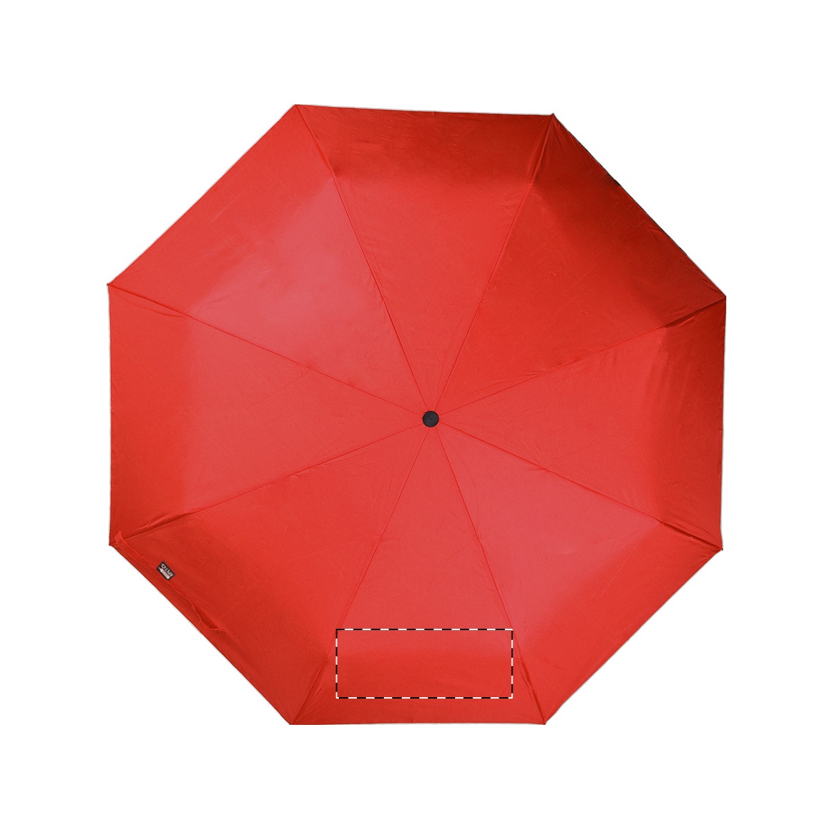 Segment 2 (200 x 100 mm)