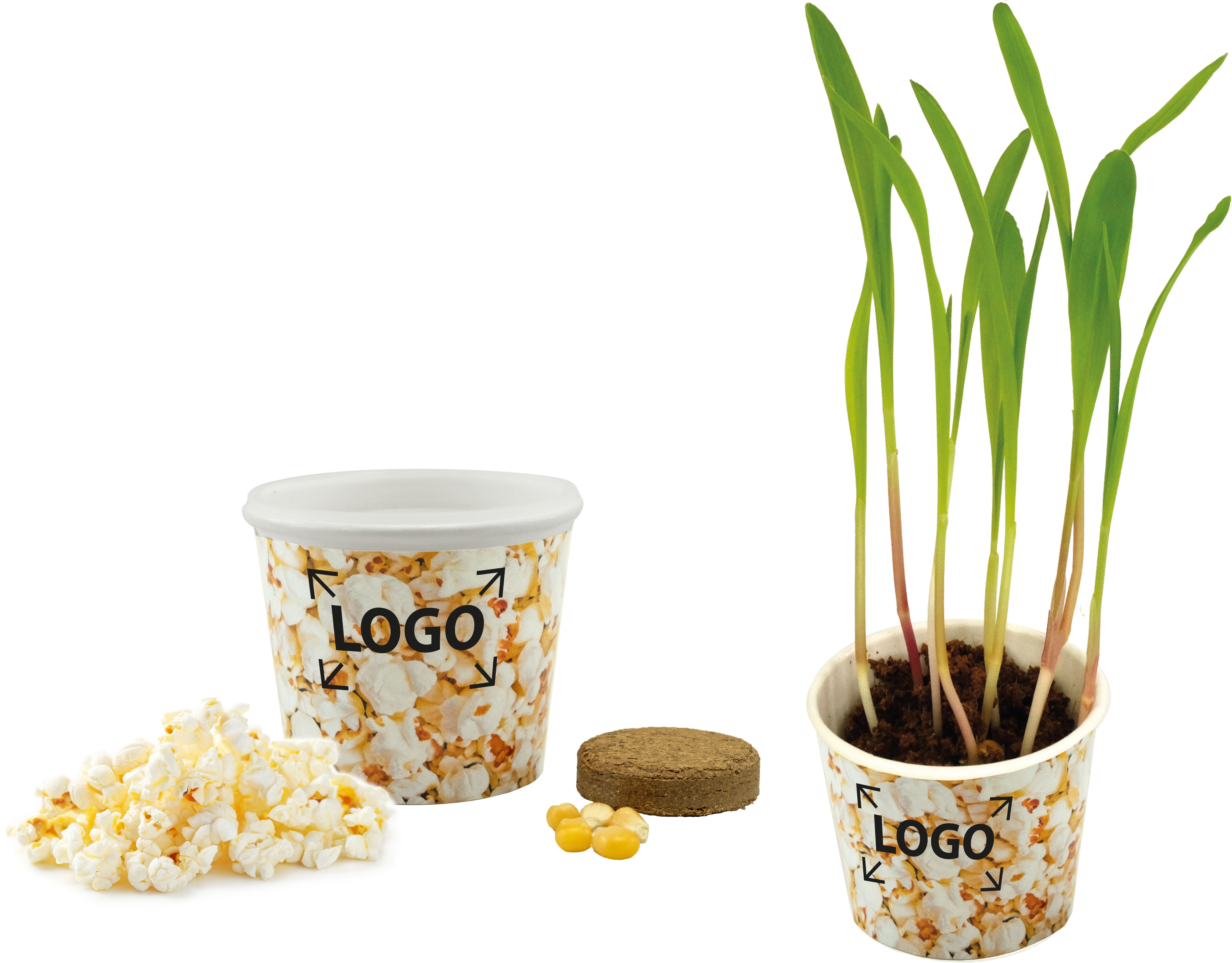 auf die Banderole (17,0 x 4,5 cm)