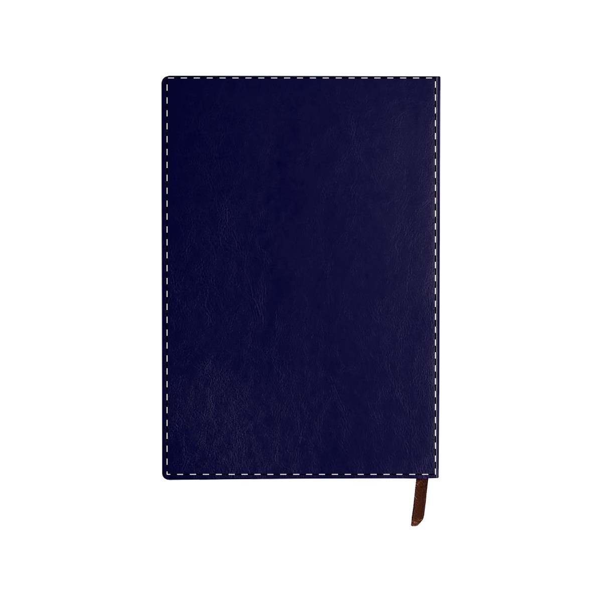 Rückseite (100 x 150 mm)