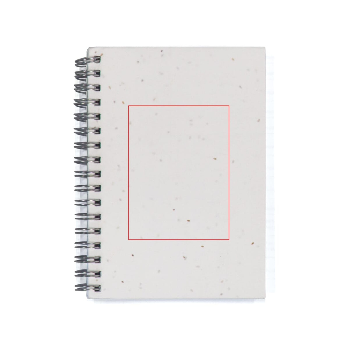 Vorderseite (80 x 60 mm)