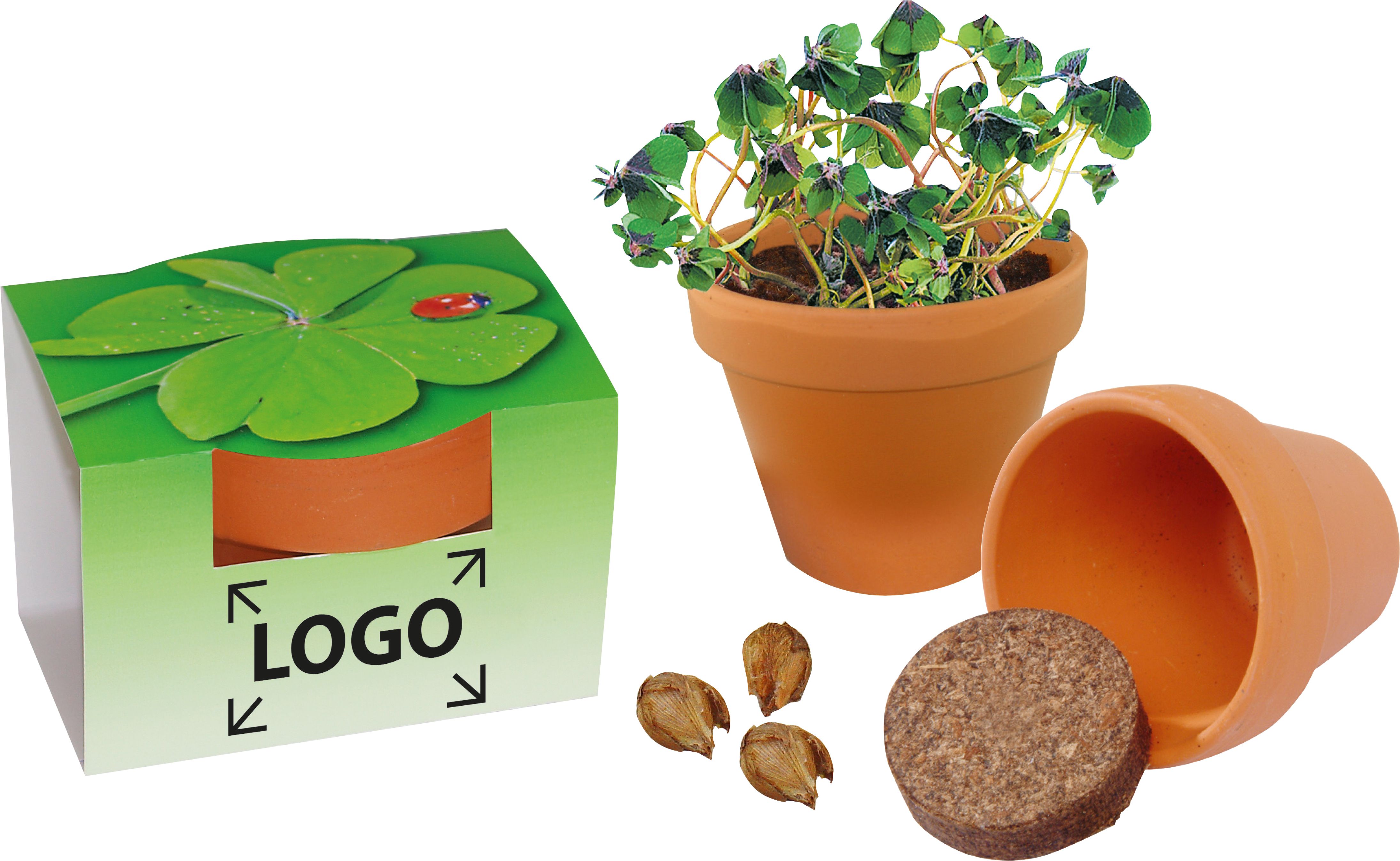 auf die Banderole (18,3 x 6,0 cm)