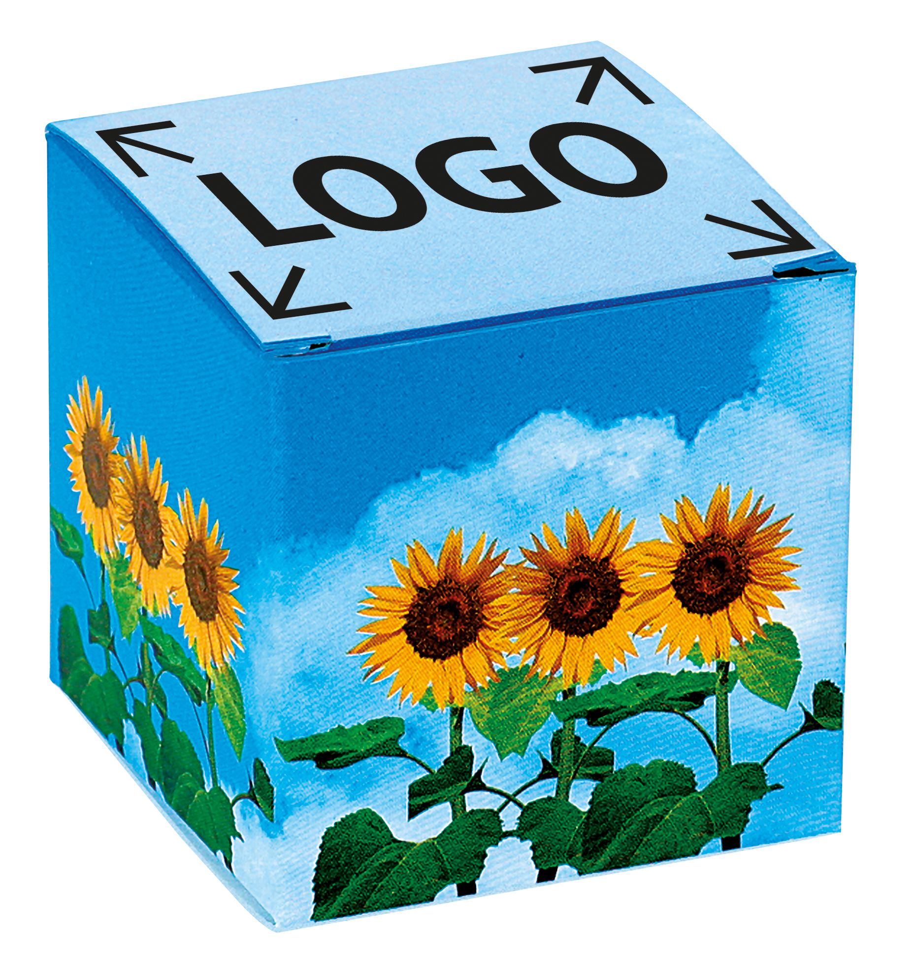 auf die Würfelpackung (5,0 x 5,0 x 5,0 cm)